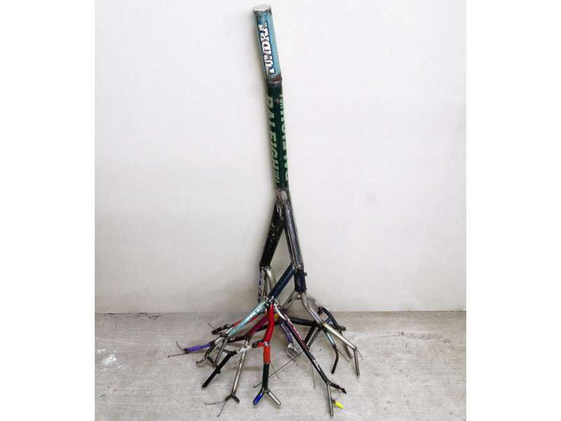 bicycle root