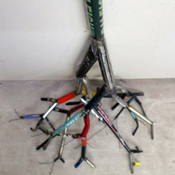 bicycle root