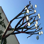 mirrored branch